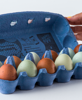 brown and blue heritage eggs in carton v3
