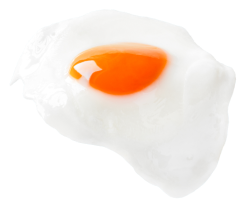 Falling Egg