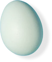 Happy Egg Heritage Blue Egg
