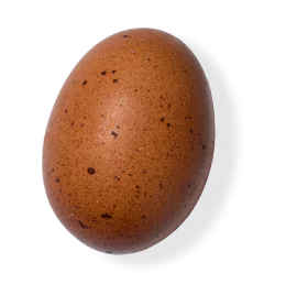 Happy Egg Heritage Brown Egg