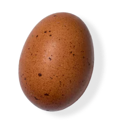 U.S.D.A. Organic Duck Eggs (Half-Dozen, Soy Free) – Happy