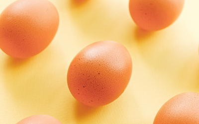 Brown eggs on a yellow background v2