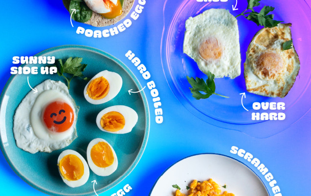 Egg Terms design v3 v3