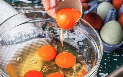 baking with egg yolks v2
