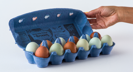brown and blue heritage eggs in carton v2