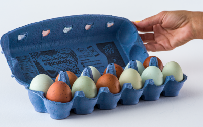 brown and blue heritage eggs in carton v2