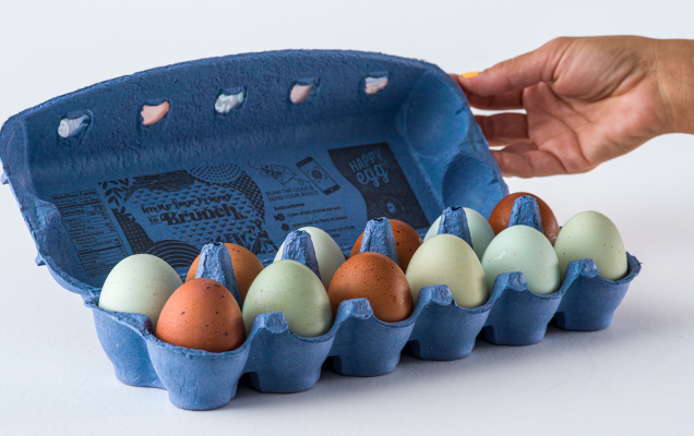 brown and blue heritage eggs in carton v3