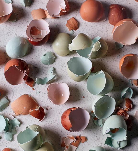 Happy Egg • Why You Should Hold On to your Egg Shells