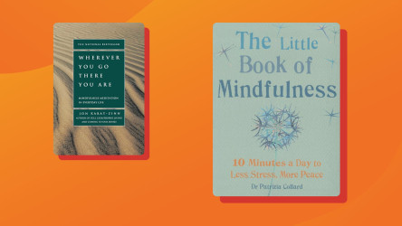 mindfulness books v2