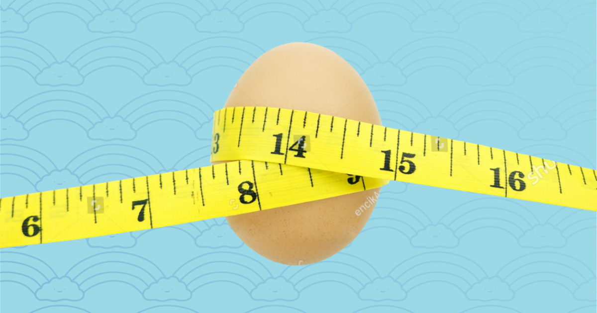 how much size of egg is required for pregnancy